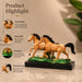 Detailed close-up of hand-painted accents, fine facial detailing, and premium Resin texture on Glossy Two Running Horses Resin Figurine on Grass Base (7.3 Inch)