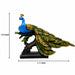 A dimensional diagram illustrating the exact height and width of the Multicolour Peacock on Branch.