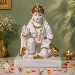 Hanuman Idols